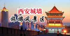 bb20p灏忛��中国陕西-西安城墙旅游风景区