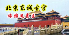操骚妇小穴视频中国北京-东城古宫旅游风景区